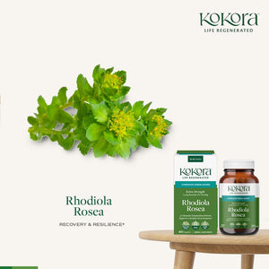 kokora Extra Strength Rhodiola Rosea – Stress Relief, Endurance & Promotes Mental & Physical Performance* - with Siberian Rhodiola, Rosavins, Organic Holy Basil - Vegan, Non-GMO - 60 Capsules kokoraBuy Supplements Australia