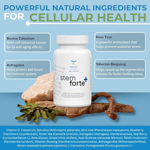 NuVi Global Stemforte Plus Stem Cell and Telomere Supplements – Cell Regeneration, Cell Growth & Telomere Support for Healthy Aging & Cellular Health – 90 Capsules for Men & Women NuVi Global buy supplements Au