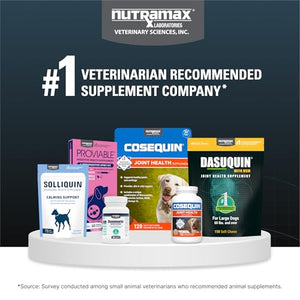 Nutramax Dasuquin for Small to Medium Dogs, Joint Health Supplement, Contains Glucosamine for Dogs, Plus Chondroitin, ASU and More, Supports Healthy Joints, Chewable Tablets, 150 Count Nutramax LaboratoriesBuy Supplements Australia