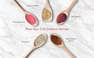 Aussie Pure Blushwood Berry Superfruit Daily Cell Defense - Soursop - Kakadu Plum - Pomegranate - Blueberry - Immune and Cell Support Powder - All Ages - Lab Tested and Authenticated - 180g/6.4oz Aussie Pure buy supplements Au