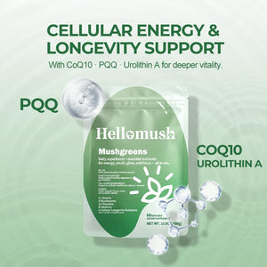 Hellomush Super Greens Powder Superfood, Daily Green Powder Supplement with Probiotics Drink Mix for Men & Women, Blend of Greens, Mushrooms, Vitamins, Probiotics and Cellular Nutrients HellomushBuy Supplements Australia