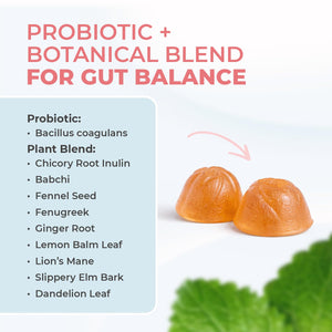 Nature’s NutriWave PrimeBiome Probiotic Gummies – Plant-Based Blend with Inulin, Lion’s Mane, Ginger & More– Non-GMO, No Stimulants, GMP Certified – 30 Gummies, 1 Month Supply Nature’s NutriWave buy supplements Au