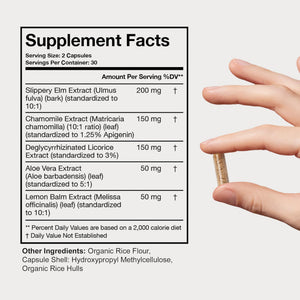 Terra Health Essentials Acid Relief - Plant Based Digestive Support Supplement for Comfortable Gut Function - Lemon Balm, Slippery Elm, Aloe Vera, DGL Licorice - 60 Capsules Terra Health Essentials buy supplements Au