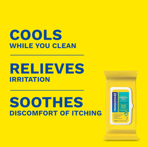 Preparation H Hemorrhoid Flushable Wipes with Witch Hazel for Skin Irritation Relief - 48 Count (Pack of 4) Preparation HBuy Supplements Australia