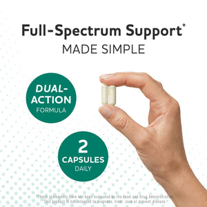 Prebiotics and Probiotics | 50 Billion CFU, 16 Probiotic Strains & Inulin Prebiotic Fiber | Delayed Release Capsules | Gut Health Support | Prebiotics and Probiotics for Women & Men | Non-GMO | 60 Ct MAV NUTRITION buy supplements Au