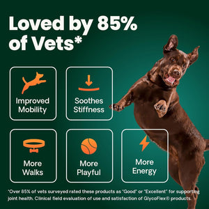 VetriScience Ultimate Strength Hip & Joint Supplement for Dogs, GlycoFlex Plus – MSM, Chondroitin & Green-Lipped Mussel Chews for Mobility, Flexibility, Comfort & Support, Peanut Butter Flavor 120 Cnt VETRISCIENCEBuy Supplements Australia