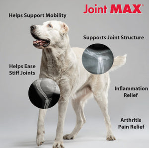 Joint MAX Triple Strength Hypo-Allergenic Soft Chews for Dogs - Hip and Joint Support Supplement with Glucosamine, Chondroitin, & MSM - Made in The USA - 120 Soft Chews Joint MaxBuy Supplements Australia