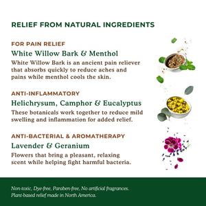 Nature's Willow Willow Balm Natural Pain Relief Cream for Muscles & Joints | Fast-Acting with Willow Bark & Menthol | Free from Artificial Fragrances & Dyes | 6-Pack | 3.5 fl oz Nature's WillowBuy Supplements Australia