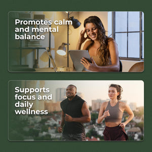 Ashwagandha Calm & Relax Gummies with Vitamin B6, Lemon Balm, GABA & L-Glutamine β 60 Gummies β Red Berries Flavor β Improve Sleep, Stress Relief & Mood β Vegan, Gluten-Free, Non-GMO Amazing BotanicalsBuy Supplements Australia