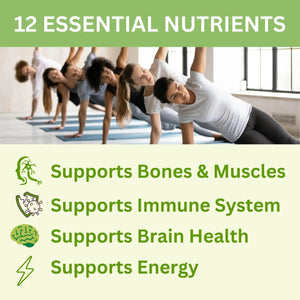 Greenfield Nutritions Halal Multivitamins for Adults | 90 Halal Vitamins for Women & Men | All Essential Gelatin Free Halal Gummy Vitamin, Mineral GREEN FIELD NUTRITIONS