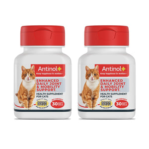 Antinol Plus, Mobility, Hip, and Joint Supplement for Cats, Green-Lipped Mussels and Krill Oil - Cat Joint Supplement, 60 Soft Gels AntinolBuy Supplements Australia