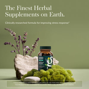 Gaia Herbs Adrenal Health Daily Support, Help Maintain Healthy Energy & Stress Levels*,120 Liquid Phyto-Caps Adrenal Health Nightly Restore, 120 Liquid Phyto-Caps - Bundle Gaia Herbs buy supplements Au