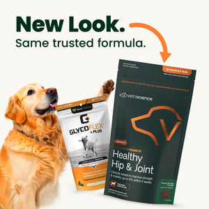 VetriScience Ultimate Strength Hip & Joint Supplement for Dogs, GlycoFlex Plus – MSM, Chondroitin & Green-Lipped Mussel Chews for Mobility, Flexibility, Comfort & Support, Peanut Butter Flavor 120 Cnt VETRISCIENCEBuy Supplements Australia