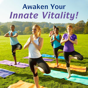 Innate Vitality 12-in-1 Magnesium Complex, 500 mg Elemental Mag, with Magnesium Glycinate Malate Taurate Aspartate & More, Non-GMO, for Nerves, Sleep, Heart, Energy, 120 Veg Caps Innate Vitality buy supplements Au