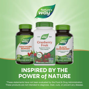 Nature's Way Cranberry Fruit, Cranberry Supplements, Supports Urinary Tract Health*, 930 mg per 2-Capsule Serving, 180 Capsules (Packaging May Vary) Nature's WayBuy Supplements Australia