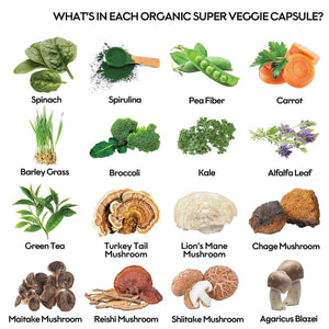 Fruits and Veggies Supplement (60 Day Supply) Powerfull Blend of 39 Whole Fruits and Veggies, Fills Nutritional Gaps, Get Energy, Well-being. USA Made Non-GMO/Vegan/Gluten Free. Packaging May Vary ROOTIE buy supplements Au