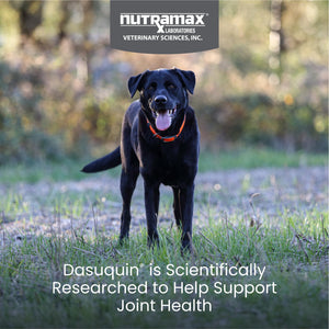 Nutramax Dasuquin for Large Dogs, Joint Health Supplement, Contains Glucosamine for Dogs, Plus Chondroitin, ASU and More, Supports Healthy Joints, Chewable Tablets, 150 Count Nutramax LaboratoriesBuy Supplements Australia