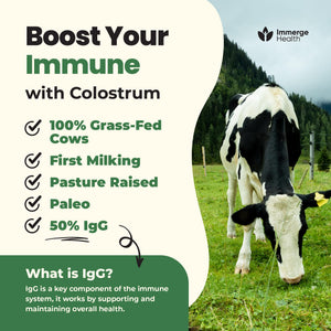 Immerge Health Super Colostrum Powder (60 Servings) β Premium Bovine Colostrum Supplement for Gut Health, Bloating & Immune Support β High IgG, 100% Grass Fed First Milking, Unflavored, Made in USA ImmergeHealth.comBuy Supplements Australia