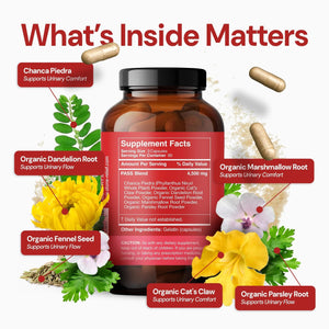 STONE RELIEF Daytime Herbal Kidney Support for Urinary Flow & Comfort | Chanca Piedra Formula – 180 Capsules STONE RELIEFBuy Supplements Australia