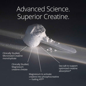 Qualia Creatine | Advanced Creatine Complex | 2 Sources + Magnesium | Optimized Absorption | Muscle Performance, Brain Function, & Healthy Aging (30 Servings)