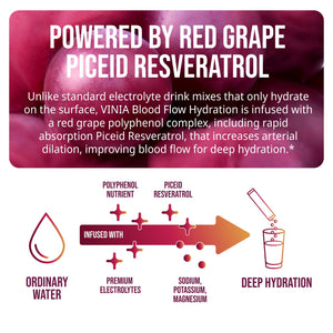 VINIA Resveratrol Electrolyte Hydration Powder Mix | Boost Blood Flow & Circulation | Sea Salt, Coconut Water Potassium, Magnesium, Informed Sport Certified VINIA buy supplements Au