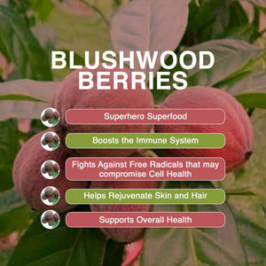 Aussie Pure Blushwood Berry Superfruit Daily Cell Defense - Soursop - Kakadu Plum - Pomegranate - Blueberry - Immune and Cell Support Powder - All Ages - Lab Tested and Authenticated - 180g/6.4oz Aussie Pure buy supplements Au
