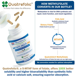Power By Naturals Methyl Multi One - Iron-Free Methylated Multivitamin with Quatrefolic 5-MTHF, Active B12, P5P, CoQ10 & Zinc for MTHFR Support Power By Naturals