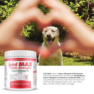 Joint MAX Triple Strength Hypo-Allergenic Soft Chews for Dogs - Hip and Joint Support Supplement with Glucosamine, Chondroitin, & MSM - Made in The USA - 120 Soft Chews Joint MaxBuy Supplements Australia