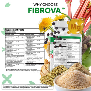 Fiber Supplement Capsules Slippery Elm Psyllium Husk Cascara Sagrada Dandelion Root Turmeric Supplement Aloe Vera Licorice Senna Marshmallow Root Digestive Health Cleanse 90 Pills by Clean Nutra Clean NutraceuticalsBuy Supplements Australia