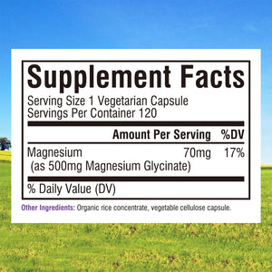 Innate Vitality Magnesium Glycinate 500mg | 70mg Elemental Magnesium Supplement - High Absorption, Non Buffered, Non-GMO & No Gluten - Vegan - Nerve Health - 120 Capsules (Pack of 1) Innate VitalityBuy Supplements Australia