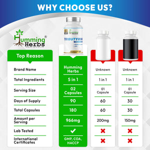 Humming Herbs Tributyrin Complex — 850 mg per Serving (95% Pure, yielding 731 mg Butyrate) with L-Glutamine, Zinc L-Carnosine, FOS & Probiotic Blend (180) Humming HerbsBuy Supplements Australia