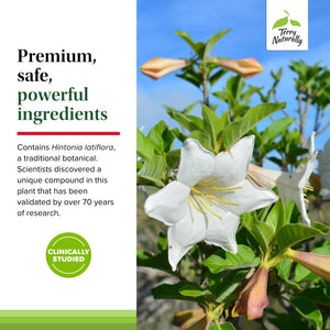 Terry Naturally Sucontral D - B-Complex & Folate Supplement - Carbohydrate Metabolism Support - Vitamin & Mineral Supplement with Zinc & Chromium - 60 Capsules (Pack of 3) Terry NaturallyBuy Supplements Australia