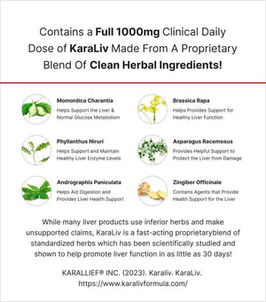 MuscleMeds Liver Detox & Defend, Cleanse, Repair Formula - Herbal Liver Support Supplement, NAC, Silymarin Milk Thistle, 60 Servings