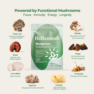 Hellomush Super Greens Powder Superfood, Daily Green Powder Supplement with Probiotics Drink Mix for Men & Women, Blend of Greens, Mushrooms, Vitamins, Probiotics and Cellular Nutrients HellomushBuy Supplements Australia