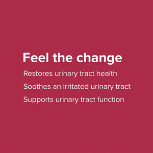Vibrant Health, U.T. Vibrance Powder, Crisis Intervention for Urinary Tract Health, 10 Servings Vibrant HealthBuy Supplements Australia