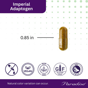 Paradise Herbs, Imperial Adaptogens, with Ashwagandha, Astragalus, Rhodiola, Proprietary Adaptogen Blend for Stress Support, Focus & Energy, 60 Vegetarian Capsules Paradise HerbsBuy Supplements Australia