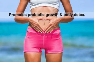 DrFormulas' Best Probiotics for Women & Men | Nexabiotic Multi Probiotic with Saccharomyces Boulardii, Lactobacillus Acidophilus, B. infantis, Prebiotic 60 Count Capsules (Not Pearls)