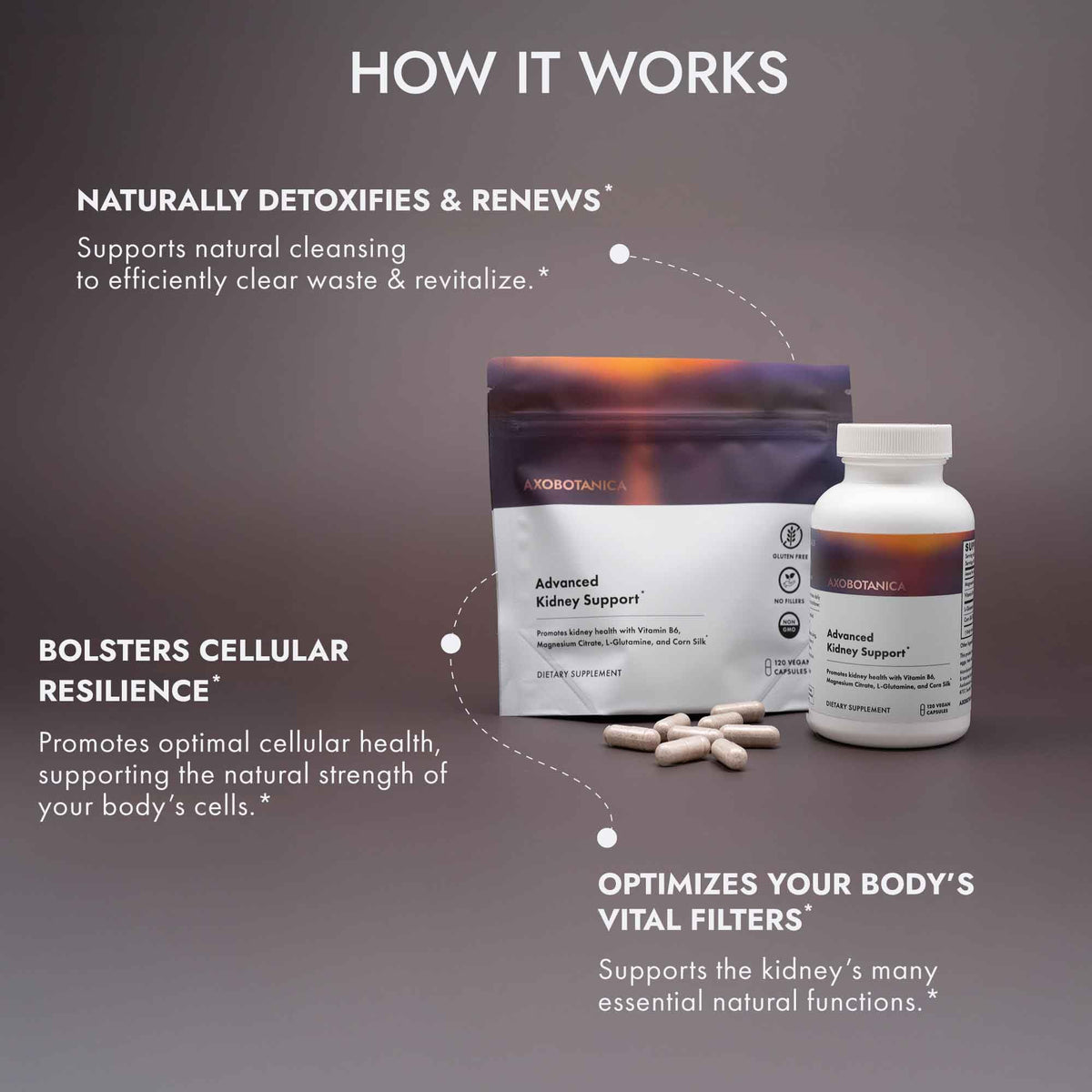 supplement products​Axobotanica Kidney Cleanse Detox & Repair - Vitamin B6, Magnesium, L-Glutamine & Cornsilk - Kidney Support Supplement, Urinary Flow & Bladder Comfort - JerryCherryUSA