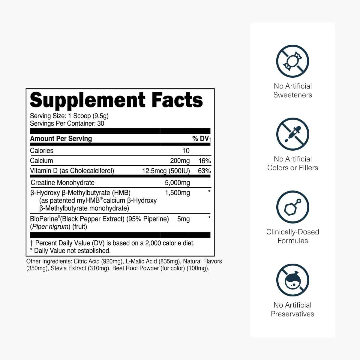 Transparent Labs Creatine HMB - Creatine Monohydrate Powder with HMB for Muscle Growth, Increased Strength, Enhanced Energy Output, and Improved Athletic Performance