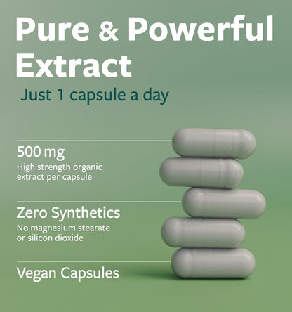 USDA Organic Moringa Capsules - High Potency Organic Moringa 500mg Extract 10:1 Per 1 Capsule Serving - Nutrient Dense Green Superfood Antioxidant - Vegan & Non-GMO Moringa (2 Month Supply)