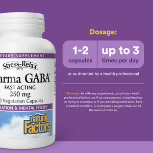 Natural Factors Pharma GABA - Dietary Supplement Supports Calm Sleep & Sleep Quality - Natural, Fast-Working Supplement Aids Focus & Brain Health - 60 Chewable Tablets (60 Servings) Natural FactorsBuy Supplements Australia