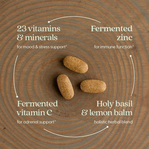 New Chapter Perfect Calm - Daily Multivitamin for Stress & Mood Support with B Vitamins + Holy Basil + Lemon Balm New Chapter
