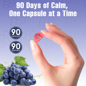 Magnesium Complex Gummies, Individually Packaged Magnesium Supplement, Magnesium Chelate, Bisglycinate, Malate, Citrate, Taurate Chewable for Women & Men,Sleep&Muscle&Nerve Health, Vegan 90 Counts DIAYAC buy supplements Au