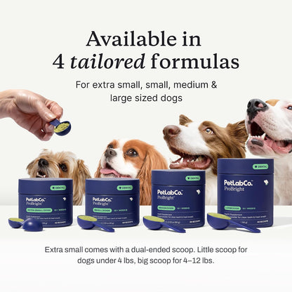 PetLab Co. – Seasonal Allergy Support & Dental Care in One Routine - Allergy & Immune Chews + ProBright Dental Powder for Total Wellness Inside & Out - Medium Sized Dogs