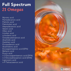 High Strength Omega 3 Fish Oil - 1000mg, Norwegian Salmon Oil with EPA & DHA, No Burping or Aftertaste, Omega 3 Fatty Acids Supplement for Eye