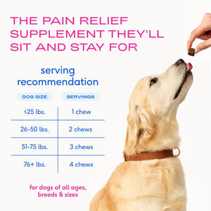 Native Pet Inflammatory Care - Pain Relief for Dogs - Green-Lipped Mussel, Turmeric & Collagen for Dogs - Hip and Joint Supplement Supports Healthy Inflammatory Response & Joint Comfort - 60 Chews Native PetBuy Supplements Australia