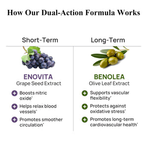 Durable Blood Pressure – Benolea Olive Leaf & Enovita Grape Seed Extract – Healthy Circulation, Nitric Oxide & Artery Support – Doctor Formulated, Vegan, Non-GMO, Made in USA (60 Capsules) DurableBuy Supplements Australia