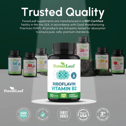 ForestLeaf Vitamin B2 Riboflavin 400mg - Energy, Skin & Cellular Health Supplement - Nervous System Support - Vitamin B 2 VIT B - Non-GMO & Gluten Free - B2 Vitamin 400mg Vegetable Capsules, 90 Count