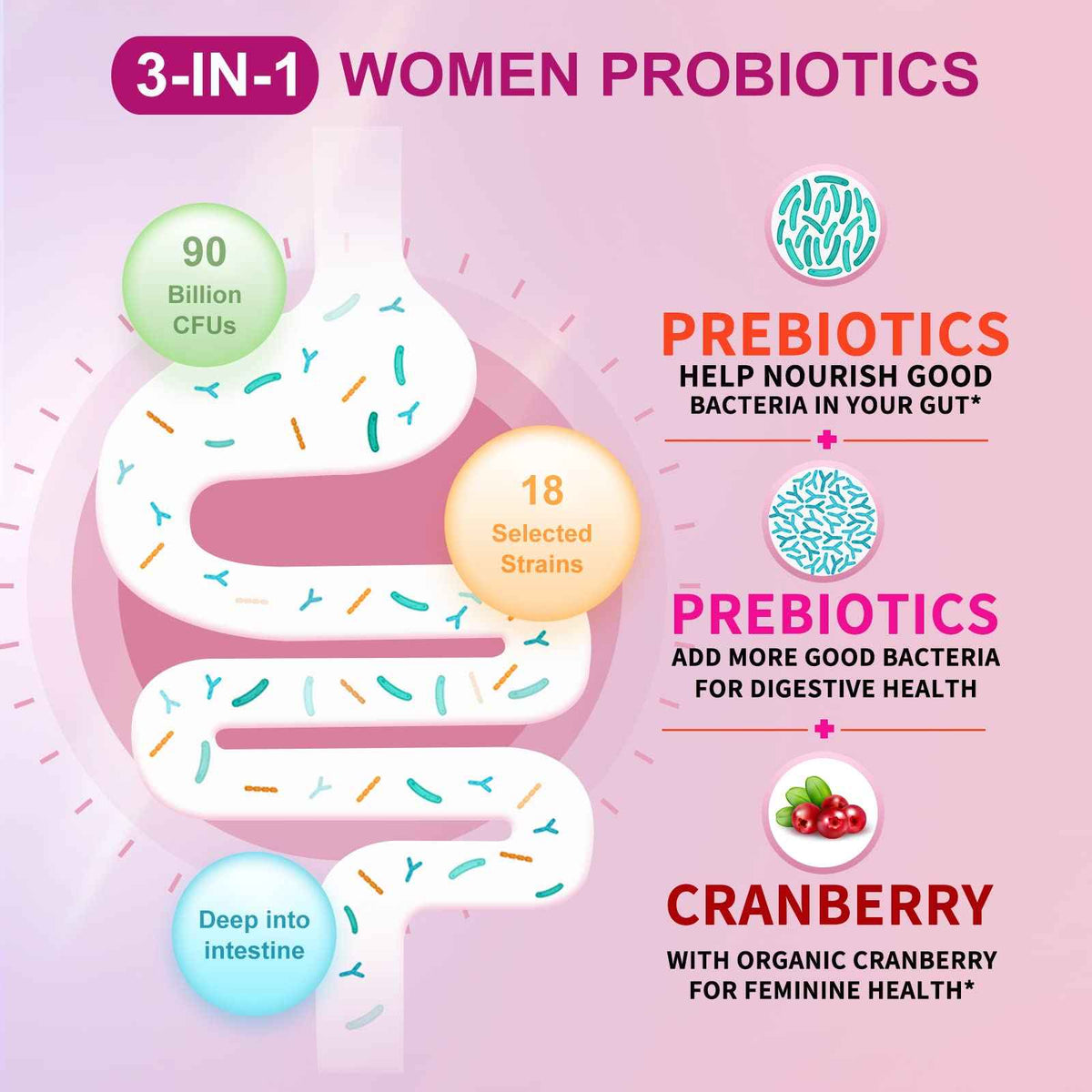 OMOGS 2PCS Women's Probiotic, with Cranberry Extract, Organic Prebiotics & Vitamin C, 90 Billion CFUs,18 Strains, Help for Boost Immune, Digestive, Gut Health & Women's Health,180 Tablets