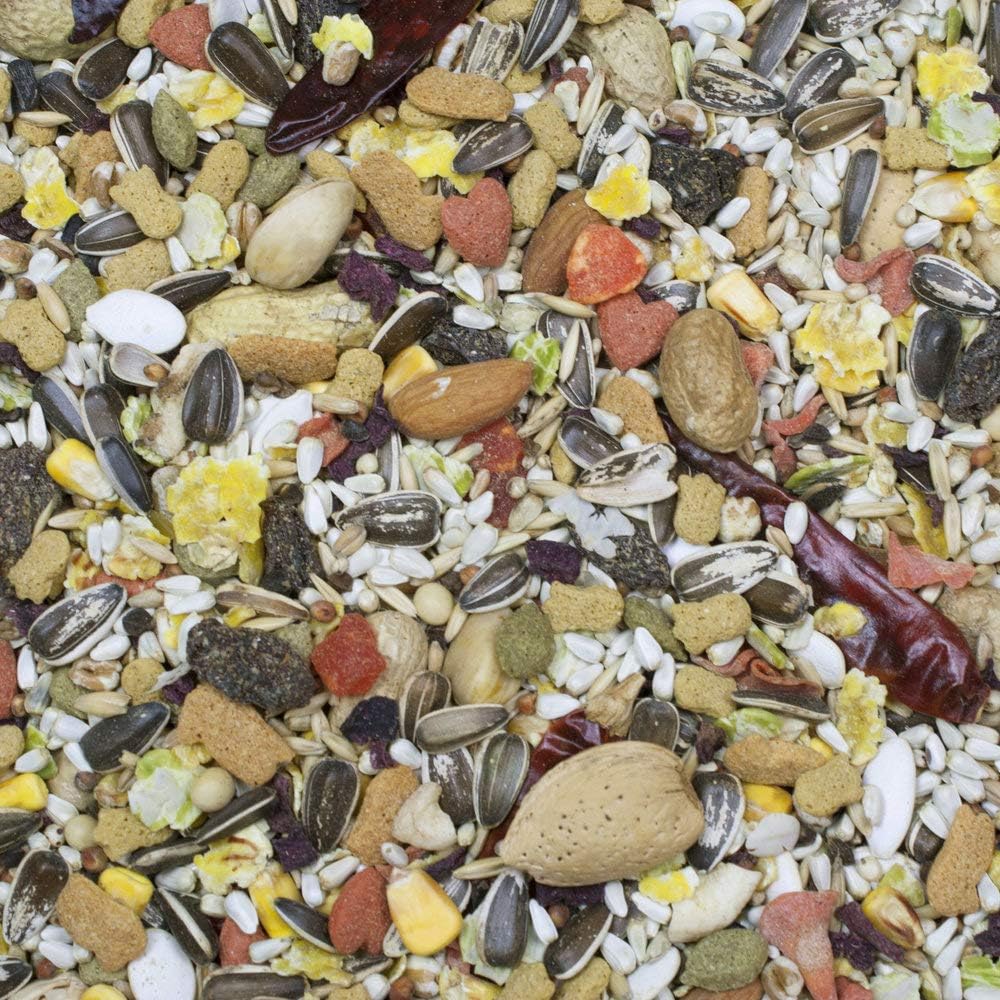 Higgins Sunburst Gourmet Blend Parrot Food 3 lbs – Pack of 2